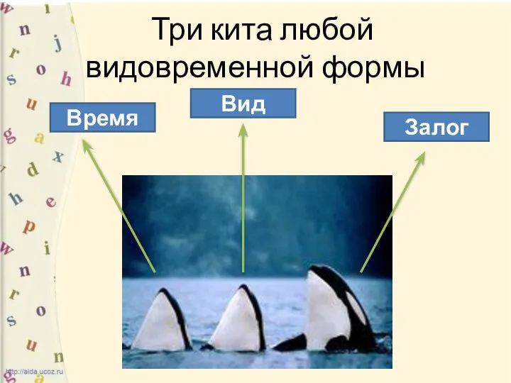 Три кита любой видовременной формы Время Вид Залог