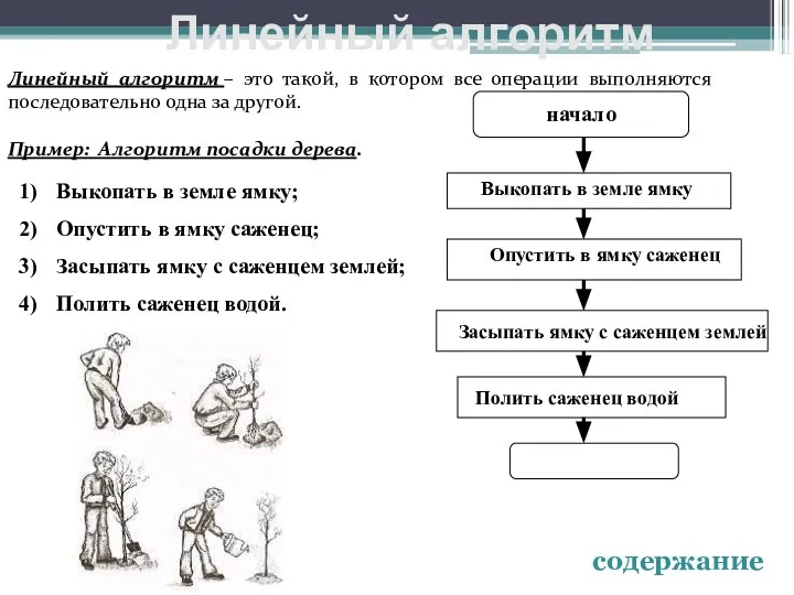 Линейный алгоритм – это такой, в котором все операции выполняются последовательно