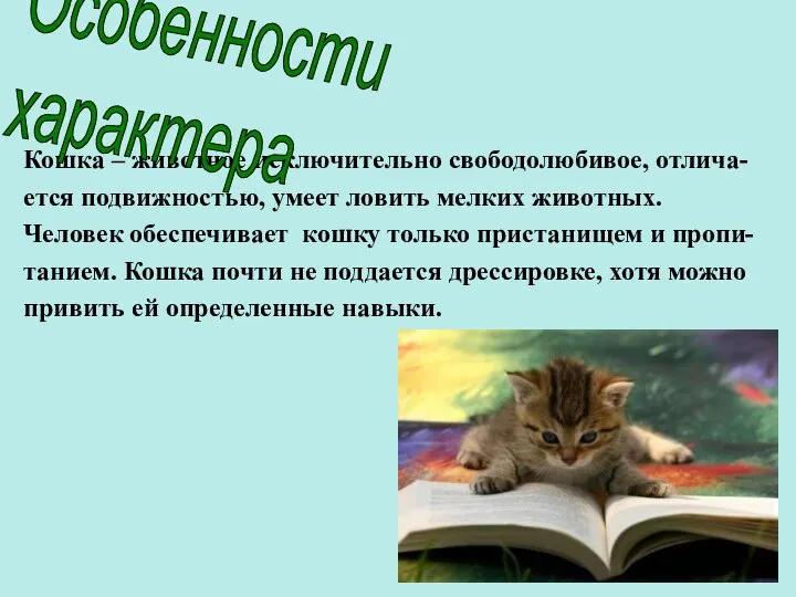 Кошка – животное исключительно свободолюбивое, отлича- ется подвижностью, умеет ловить мелких