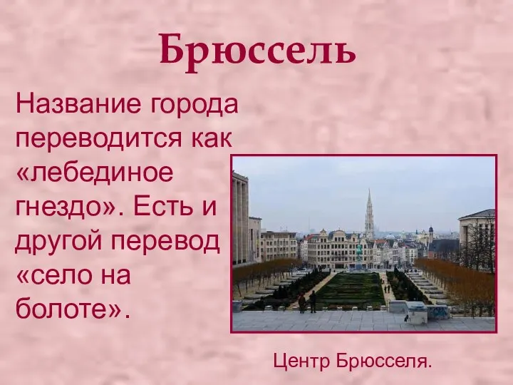 Брюссель Название города переводится как «лебединое гнездо». Есть и другой перевод