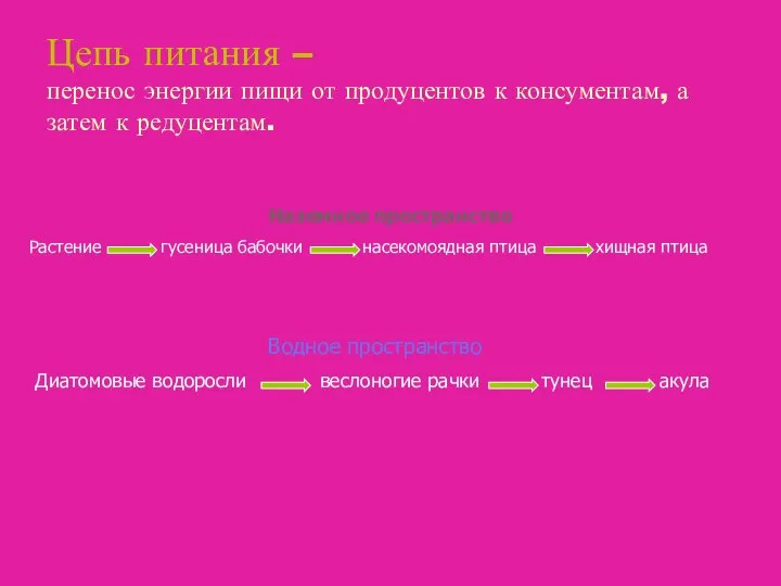 Цепь питания – перенос энергии пищи от продуцентов к консументам, а