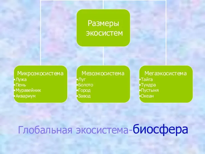 Глобальная экосистема-биосфера