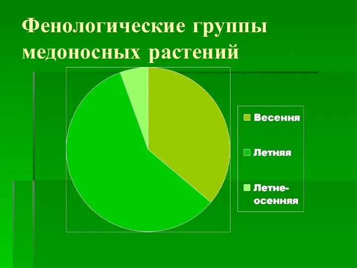 Фенологические группы медоносных растений