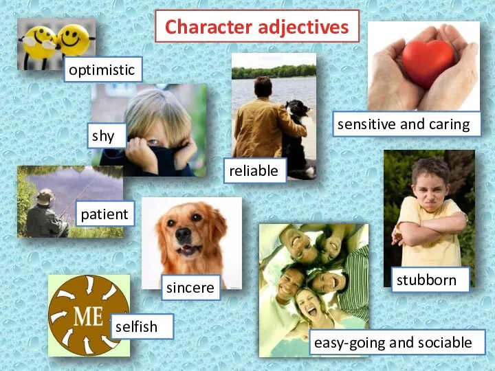 Character adjectives patient optimistic sensitive and caring easy-going and sociable stubborn selfish reliable shy sincere