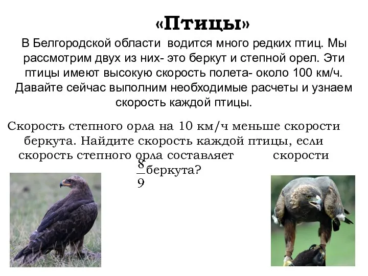 «Птицы» В Белгородской области водится много редких птиц. Мы рассмотрим двух