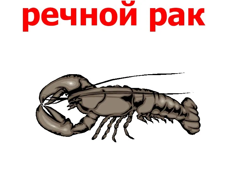 речной рак