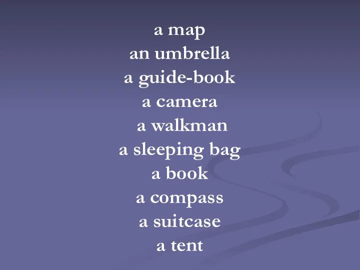 a map an umbrella a guide-book a camera a walkman a
