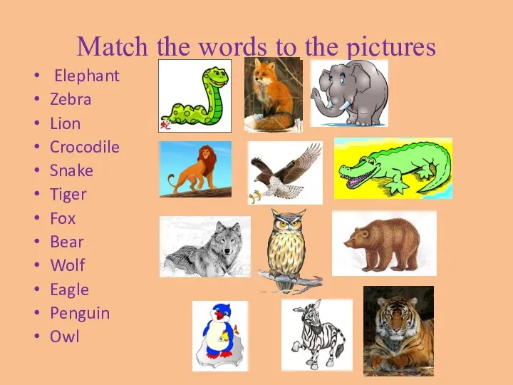 Match the words to the pictures Elephant Zebra Lion Crocodile Snake