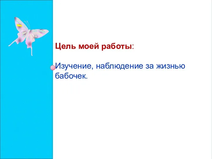 Цель моей работы: Изучение, наблюдение за жизнью бабочек.