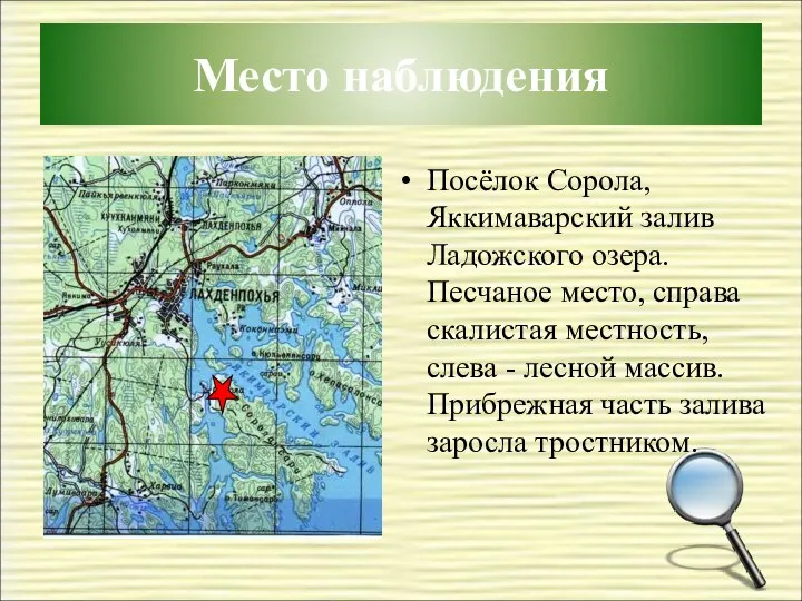 Место наблюдения Посёлок Сорола, Яккимаварский залив Ладожского озера. Песчаное место, справа