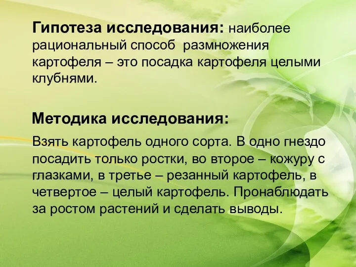 Гипотеза исследования: наиболее рациональный способ размножения картофеля – это посадка картофеля