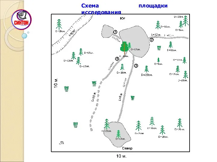 Схема площадки исследования