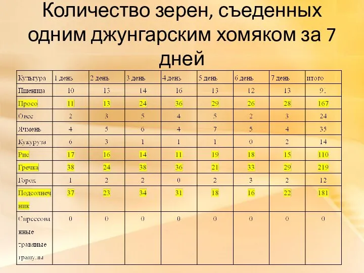 Количество зерен, съеденных одним джунгарским хомяком за 7 дней