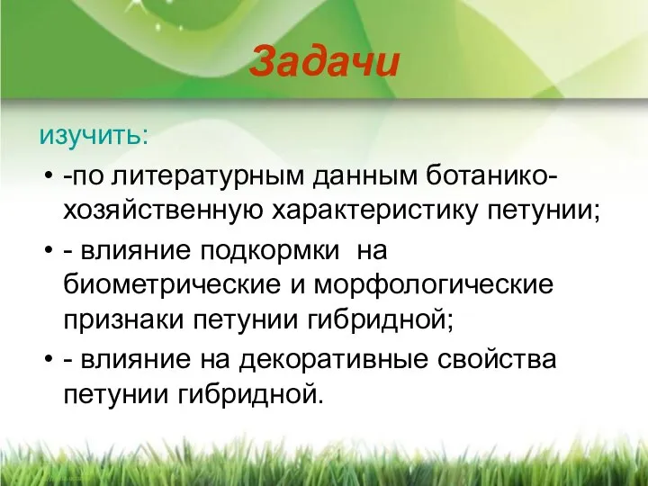 Задачи изучить: -по литературным данным ботанико-хозяйственную характеристику петунии; - влияние подкормки