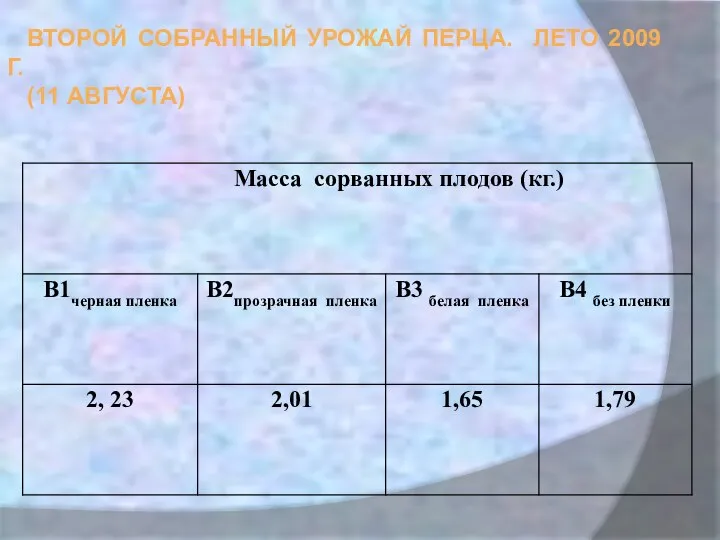 ВТОРОЙ СОБРАННЫЙ УРОЖАЙ ПЕРЦА. ЛЕТО 2009 Г. (11 АВГУСТА)