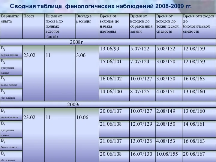 Сводная таблица фенологических наблюдений 2008-2009 гг.
