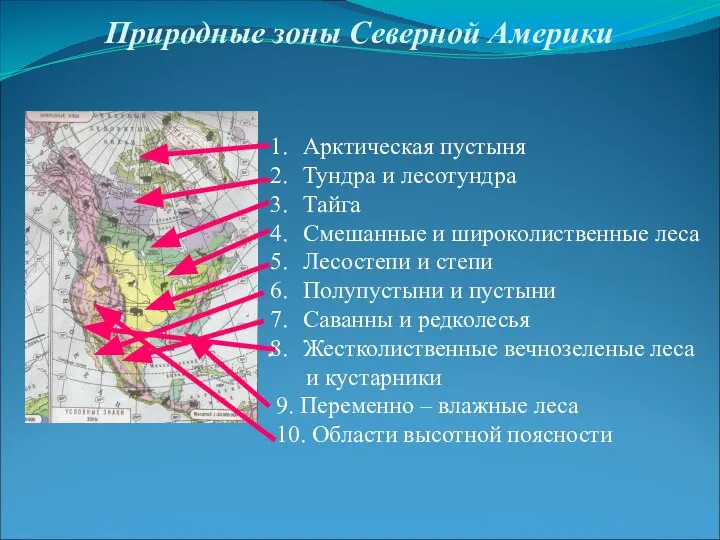 Природные зоны Северной Америки Арктическая пустыня Тундра и лесотундра Тайга Смешанные