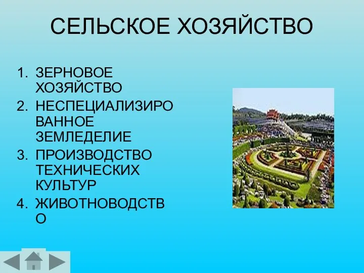 СЕЛЬСКОЕ ХОЗЯЙСТВО ЗЕРНОВОЕ ХОЗЯЙСТВО НЕСПЕЦИАЛИЗИРОВАННОЕ ЗЕМЛЕДЕЛИЕ ПРОИЗВОДСТВО ТЕХНИЧЕСКИХ КУЛЬТУР ЖИВОТНОВОДСТВО