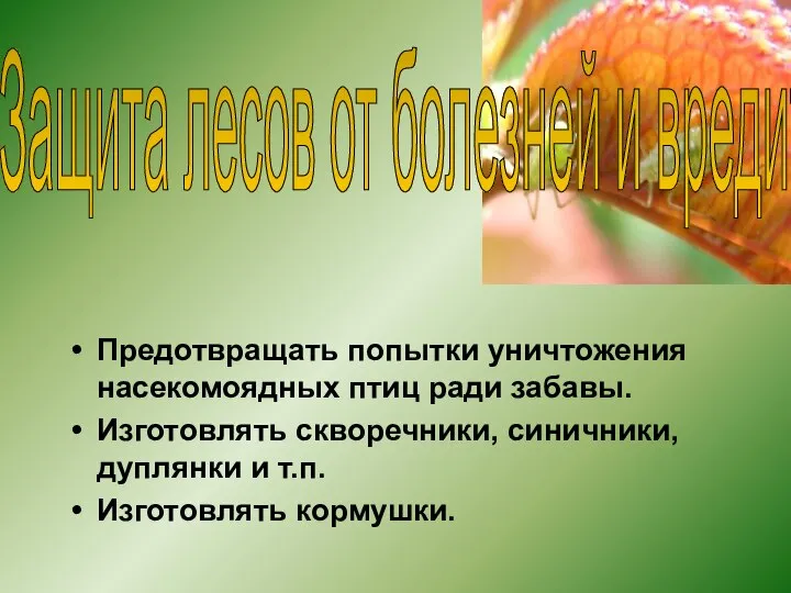 Предотвращать попытки уничтожения насекомоядных птиц ради забавы. Изготовлять скворечники, синичники, дуплянки