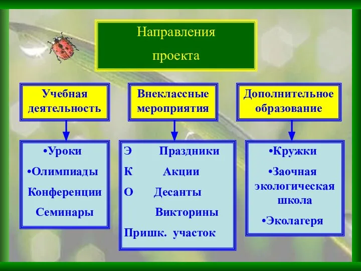 Направления проекта Внеклассные мероприятия Учебная деятельность Дополнительное образование Уроки Олимпиады Конференции