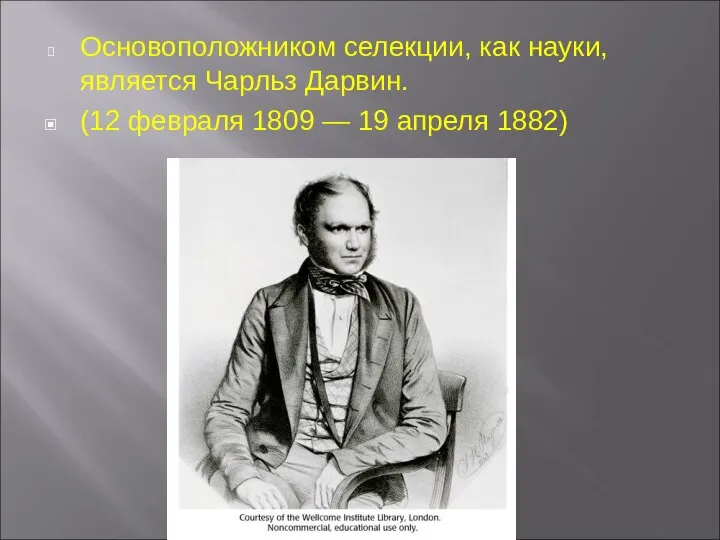 Основоположником селекции, как науки, является Чарльз Дарвин. (12 февраля 1809 — 19 апреля 1882)