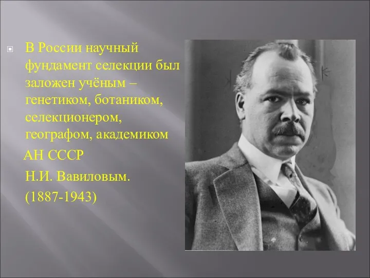 В России научный фундамент селекции был заложен учёным – генетиком, ботаником,