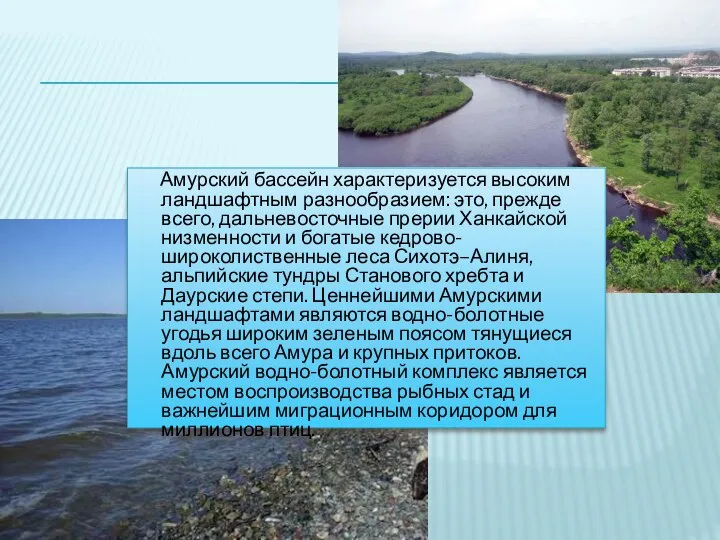 Амурский бассейн характеризуется высоким ландшафтным разнообразием: это, прежде всего, дальневосточные прерии