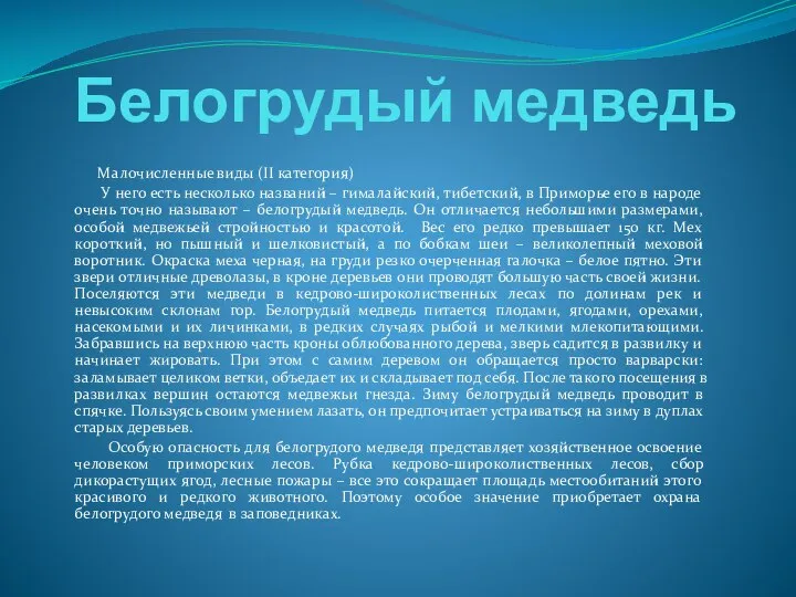 Белогрудый медведь Малочисленные виды (II категория) У него есть несколько названий