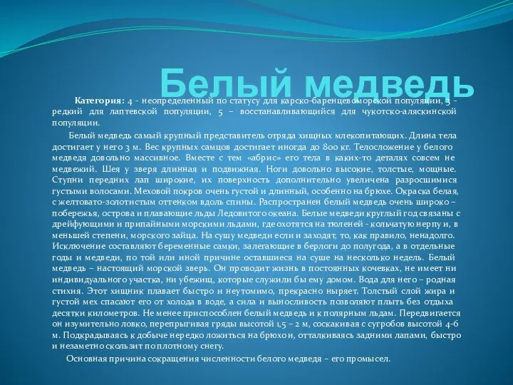 Белый медведь Категория: 4 - неопределенный по статусу для карско-баренцевоморской популяции,