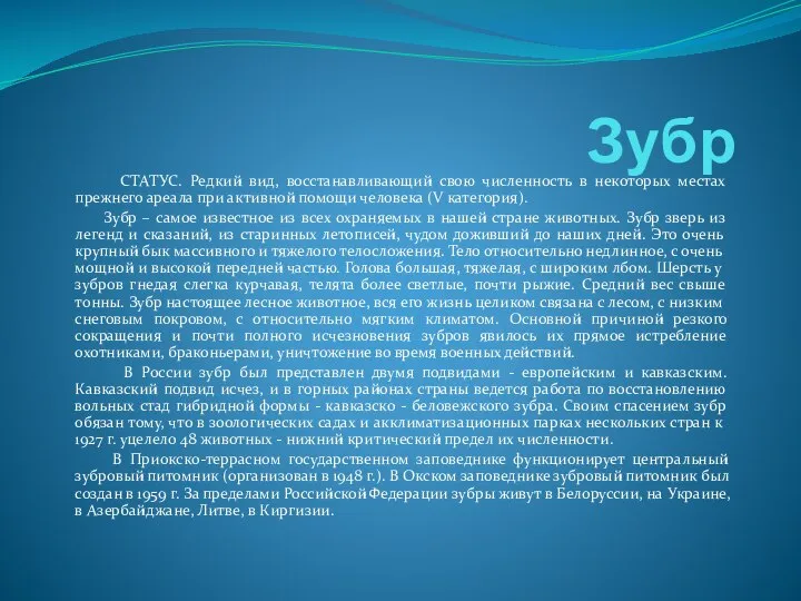 Зубр СТАТУС. Редкий вид, восстанавливающий свою численность в некоторых местах прежнего