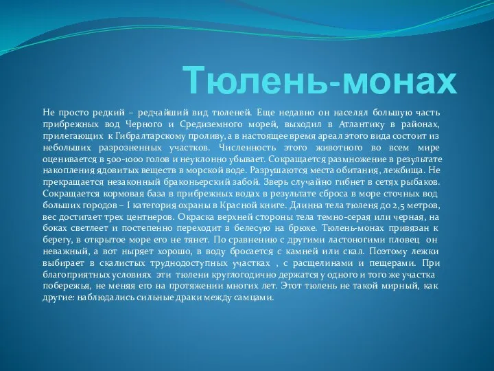 Тюлень-монах Не просто редкий – редчайший вид тюленей. Еще недавно он