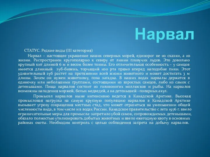 Нарвал СТАТУС. Редкие виды (III категория) Нарвал – настоящее украшение наших