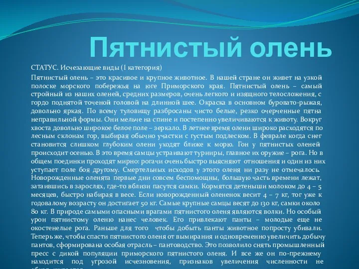 Пятнистый олень СТАТУС. Исчезающие виды (I категория) Пятнистый олень – это