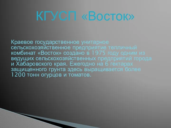 КГУСП «Восток» Краевое государственное унитарное сельскохозяйственное предприятие тепличный комбинат «Восток» создано