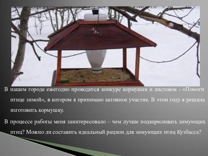 В нашем городе ежегодно проводится конкурс кормушек и листовок - «Помоги