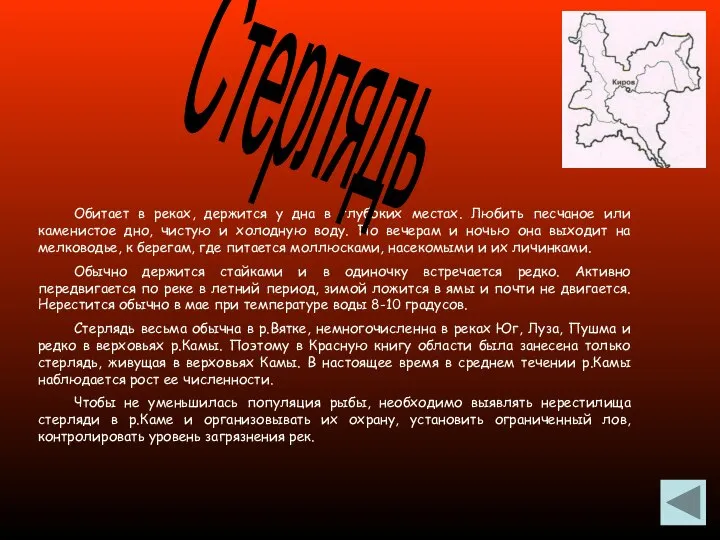 Обитает в реках, держится у дна в глубоких местах. Любить песчаное