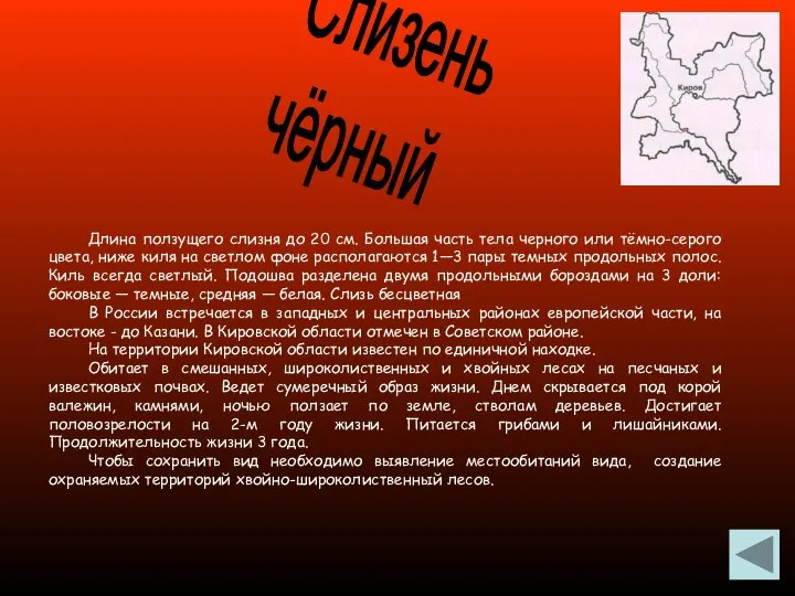 Слизень чёрный Длина ползущего слизня до 20 см. Большая часть тела