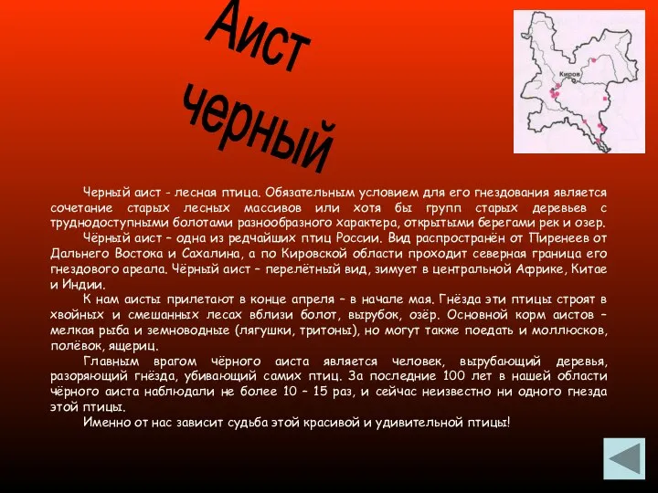 Черный аист - лесная птица. Обязательным условием для его гнездования является