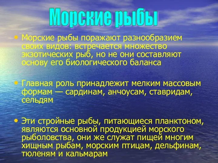 Морские рыбы поражают разнообразием своих видов: встречается множество экзотических рыб, но