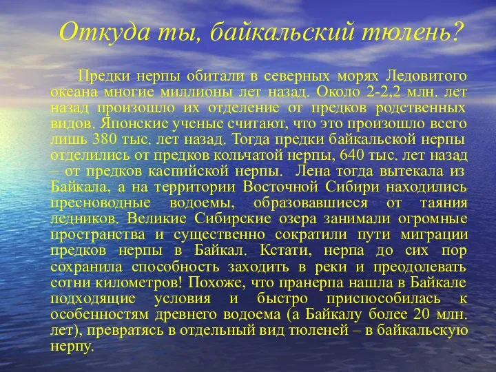 Откуда ты, байкальский тюлень? Предки нерпы обитали в северных морях Ледовитого