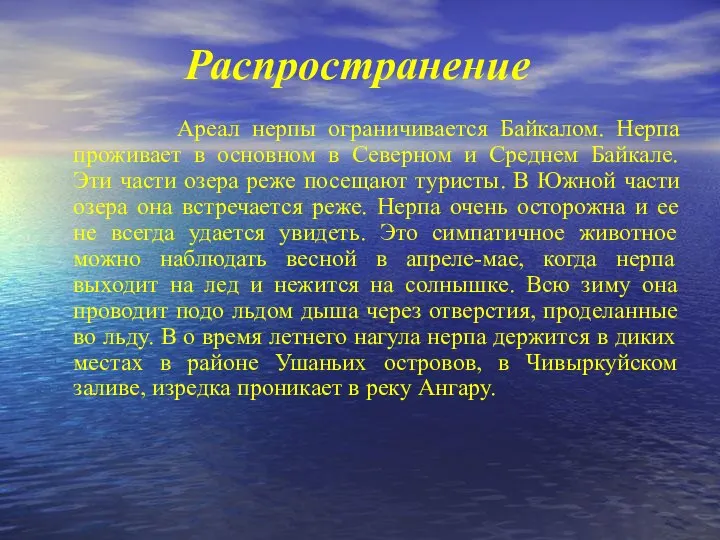 Распространение Ареал нерпы ограничивается Байкалом. Нерпа проживает в основном в Северном