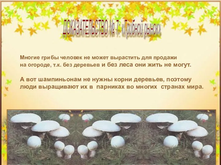 Многие грибы человек не может вырастить для продажи на огороде, т.к.