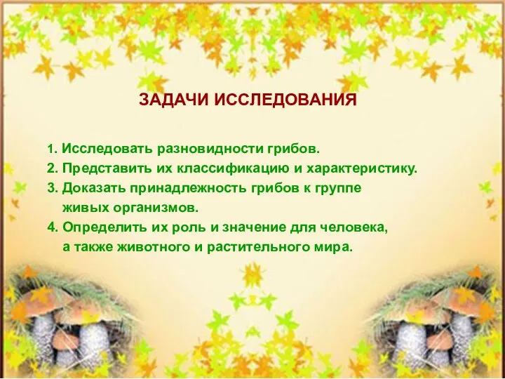 1. Исследовать разновидности грибов. 2. Представить их классификацию и характеристику. 3.