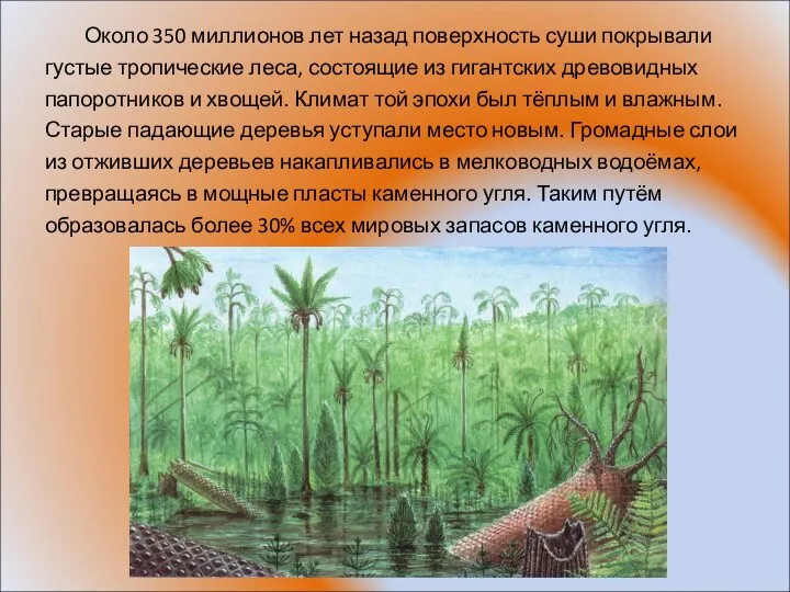 Около 350 миллионов лет назад поверхность суши покрывали густые тропические леса,