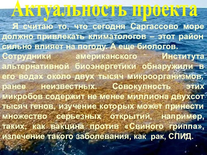 Актуальность проекта Я считаю то, что сегодня Саргассово море должно привлекать