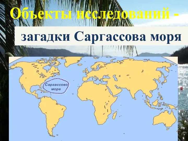 Объекты исследований - загадки Саргассова моря