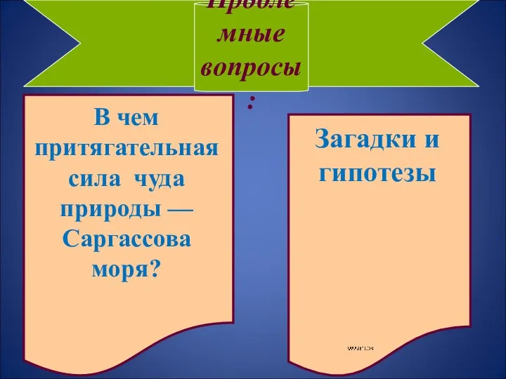 Проблемные вопросы: В чем притягательная сила чуда природы — Саргассова моря? Загадки и гипотезы