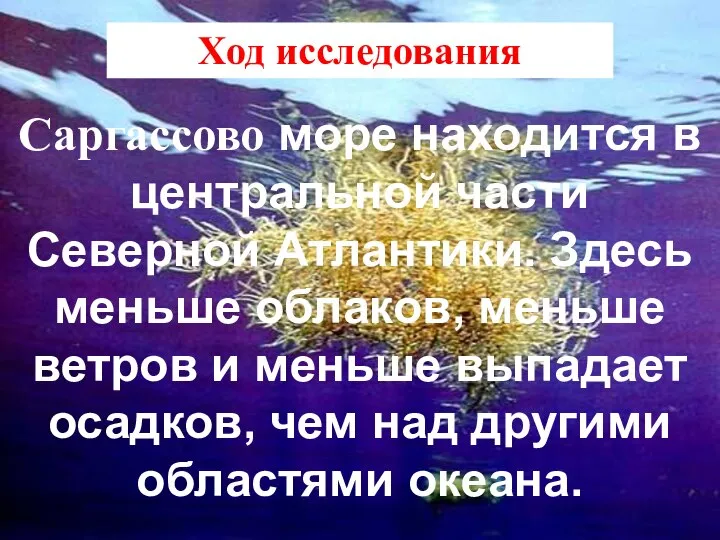 Ход исследования Саргассово море находится в центральной части Северной Атлантики. Здесь