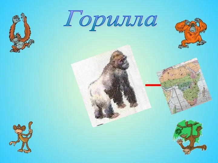 Горилла