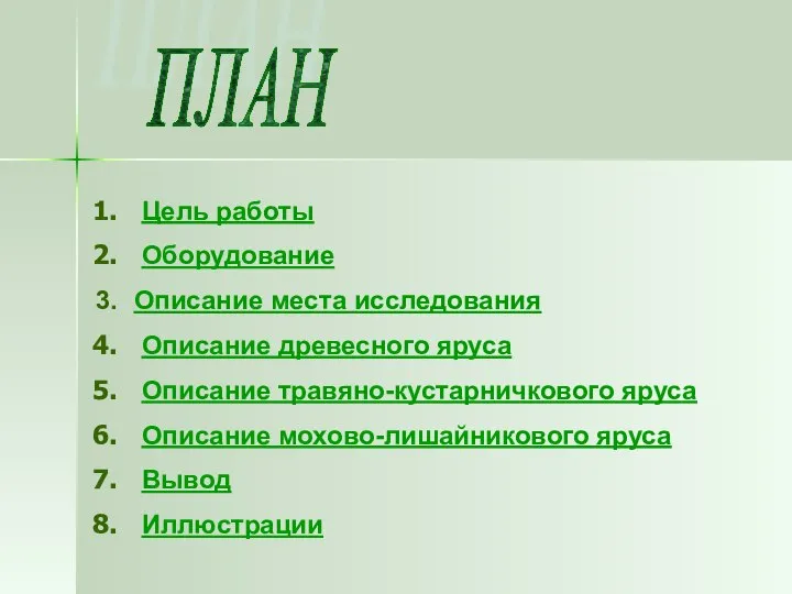 ПЛАН Цель работы Оборудование Описание места исследования Описание древесного яруса Описание